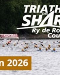 26e-tri-des-sharks-1024x383hpph-6a0eeb1a8e8fb195614038.jpg