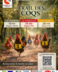 capture-d-ecran-2026-06-03-234315-6a20a01c04754233229518.png