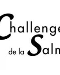 salm-logo-69fdabb01a225917187881.jpg